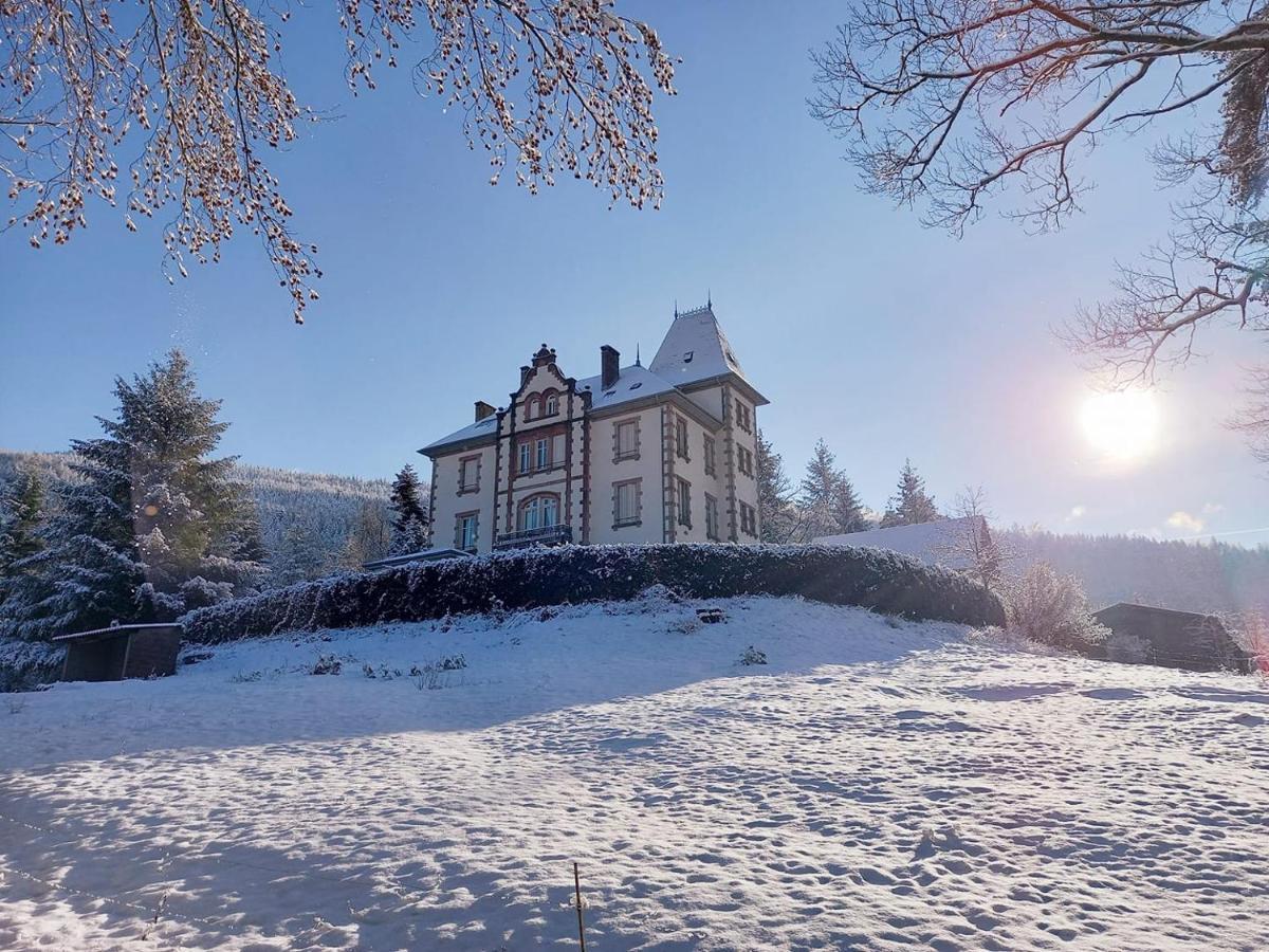 Chateau Robert Raon-lʼÉtape Exteriér fotografie